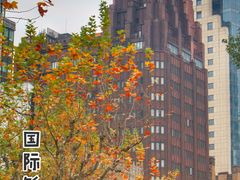 -国际饭店·原点咖啡吧ORIGIN CAFE&BAR