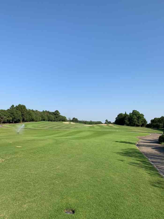 太阳岛高尔夫俱乐部-"服务=0 球场起伏很大,难以控制球的走向.