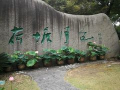 -荷塘月色湿地公园·向阳花洲
