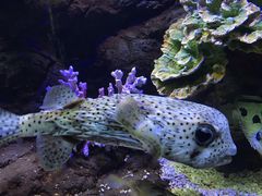 -南昌海洋公园