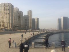 -星海湾跨海大桥