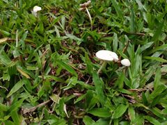 -人民公园(罗湖区)