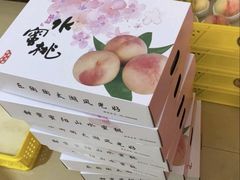 -老袁家蜜桃农场·阳山水蜜桃