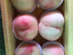 -田园东方蜜桃村的田野营地
