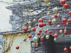 -西湖天地