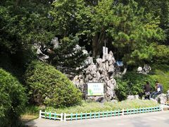 -菊花台公园