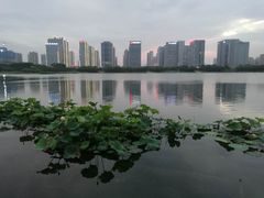 -尚贤河湿地