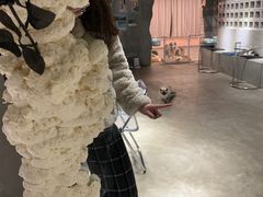 -浣熊柯尔鸭土拨鼠·电玩咖