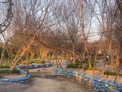 -武汉紫薇都市田园