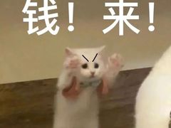 -饶品富牛魔王辣味烧菜馆(船山路总店)