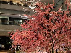 -上海银星皇冠假日酒店