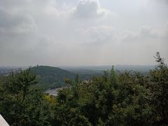 -上海佘山国家森林公园西佘山园