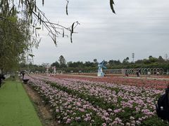 -盈香心动乐园