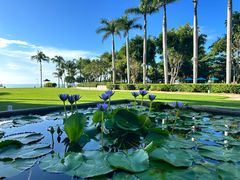 -三亚海棠湾万丽度假酒店