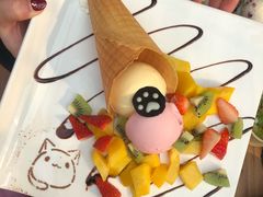 -猫小院猫主题咖啡厅(北锣店)