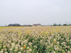 -中国天府农业博览园