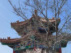 -白水寺森林公园