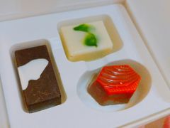 -西贡日航酒店