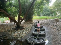 -成都市活水公园