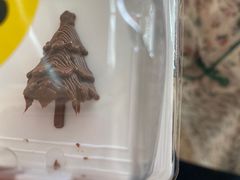 -湖南省地质博物馆