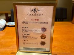 -月龍吟(朝龙汇店)