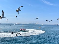 -大连海昌东方水城