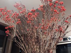 -花草间花行(法华镇路店)