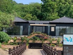 -白马涧龙池景区