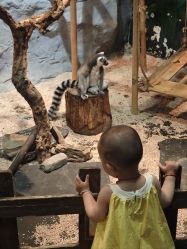-Zoolung Zoolung动物主题公园(海信广场店)