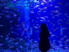 -成都浩海立方海洋公园