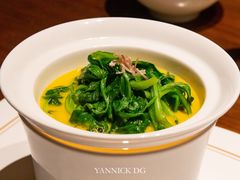 -觀芷隐轩