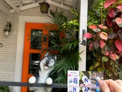 -TrueLove @ Neverland (Husky Cafe)