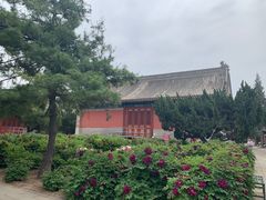 -大钟寺古钟博物馆