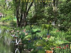 -上海共青森林公园