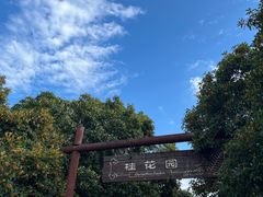 -鲁山国家森林公园