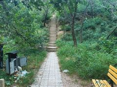 -北京十三陵国家森林公园蟒山景区