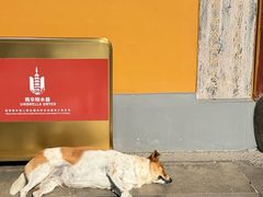 -龙华素斋(龙华路店)