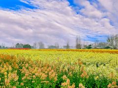 -中国天府农业博览园