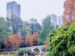 -重庆彩云湖湿地公园