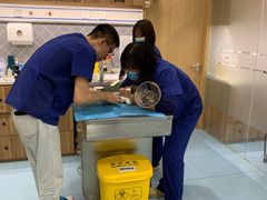 -萌兽医馆·犬猫专科·眼科中心·宠物医院(朝阳门分院)