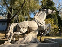 -莲花池公园