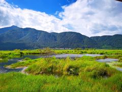 -腾冲北海湿地