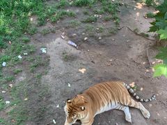 -西霞口神雕山野生动物世界