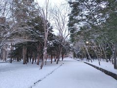 -北海道神宫
