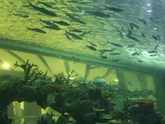 -常州海昌海洋探索馆