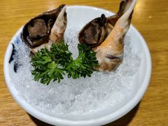 火焰海螺-樱町三味日本料理(城乡世纪广场店)