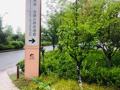 -湘湖金融镇