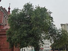 -圣·阿列克谢耶夫教堂