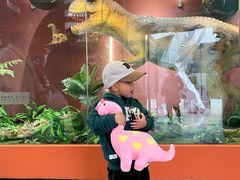 -自贡恐龙博物馆