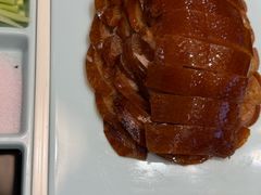 -海派美食·家宴海鲜青岛菜·石锅鲽鱼头(东方城店)